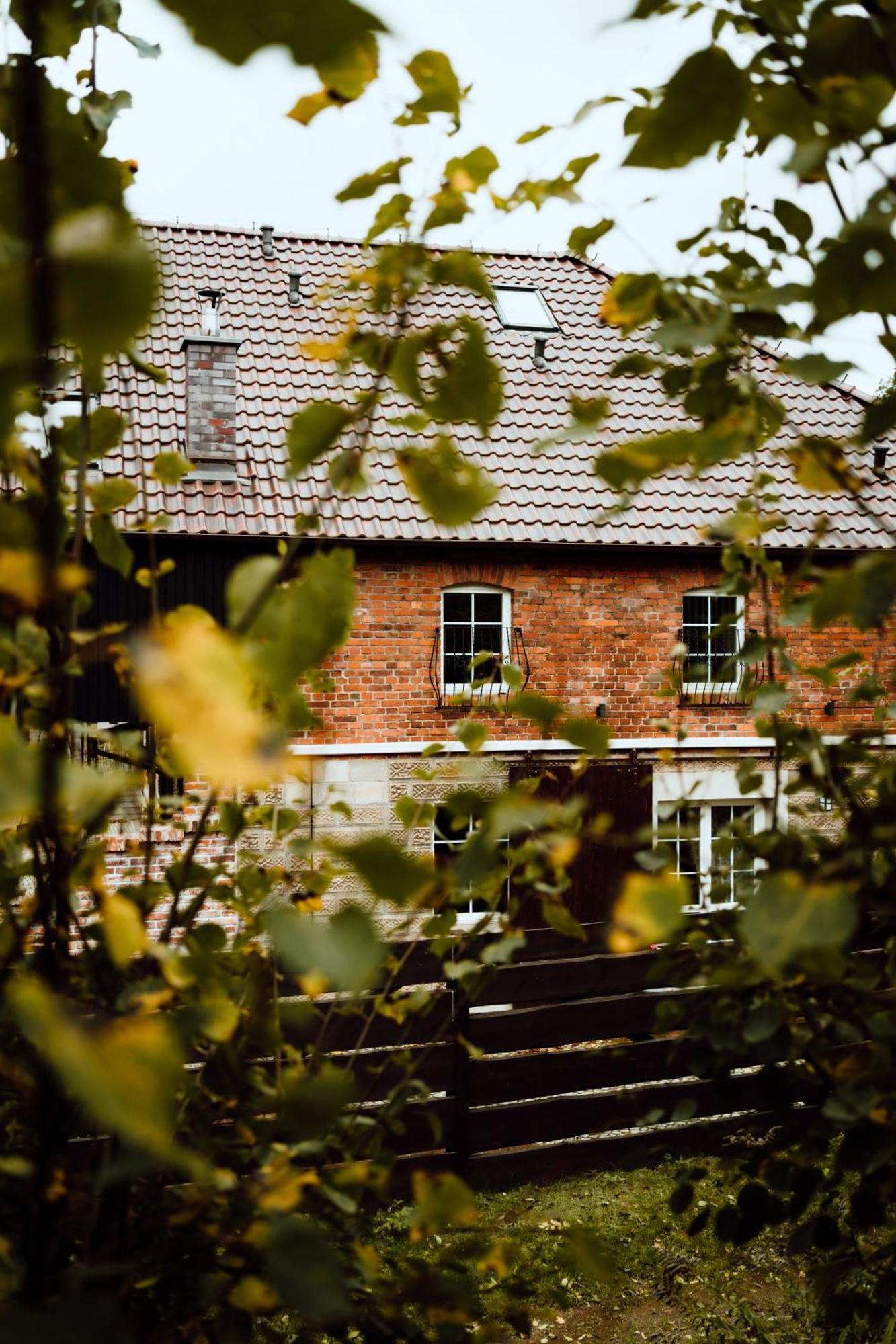 Villa Na Uboczu Gryfów Śląski Exterior foto
